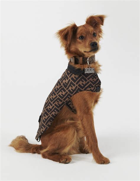 fendi pet travel line|fendi dog coat.